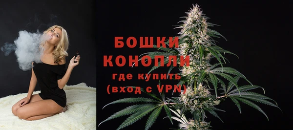 мяу мяу мука Беломорск