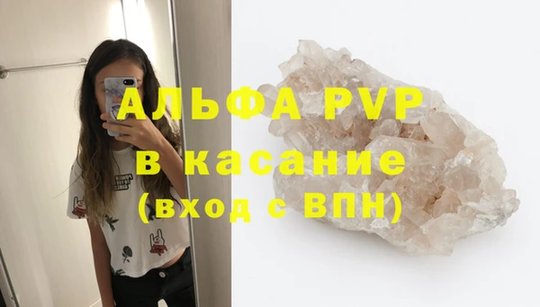 мяу мяу мука Беломорск