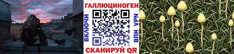 Псилоцибиновые грибы Psilocybine cubensis Жиздра