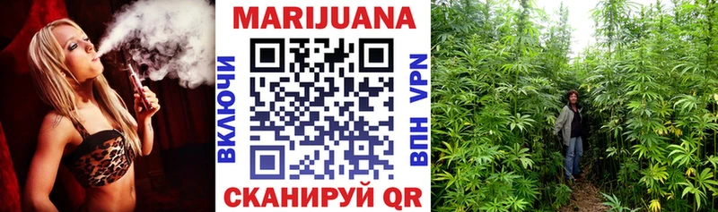 Шишки марихуана Ganja  Жиздра 